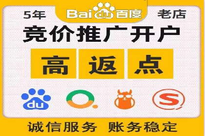 充值高返点背后的策略与技巧：案例分析